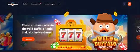 Mr Bet Casino ⚡️: Official site [Bonus €1500].